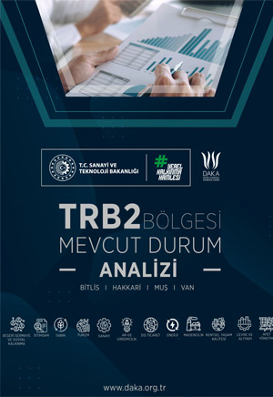 Mevcut Durum Analizi